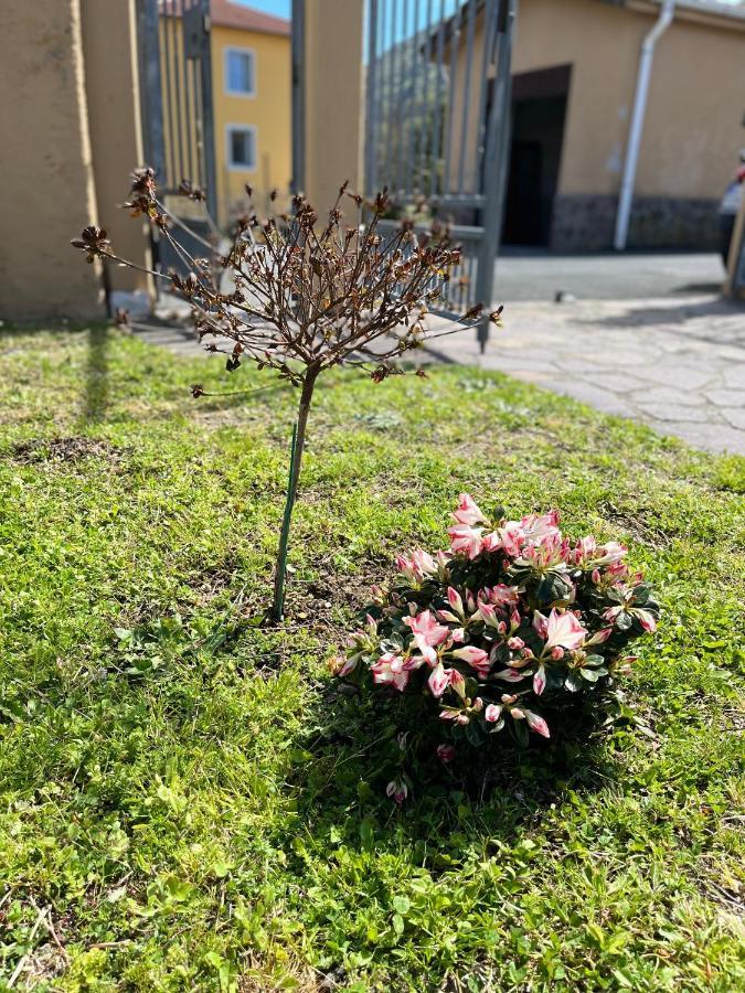 Ferienwohnung Casa Mia Malva Riccò del Golfo di Spezia Exterior foto